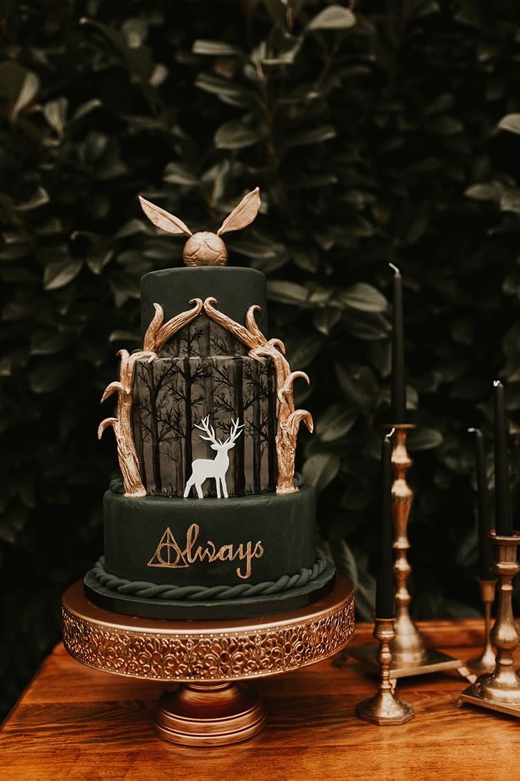 Harry Potter themed cake toppers