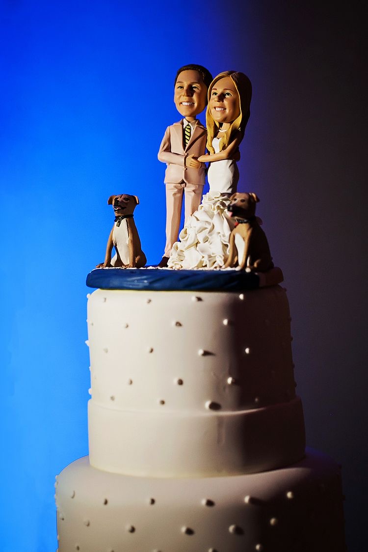 Custom Wedding Cake Toppers – Everything you need to Know [2023]